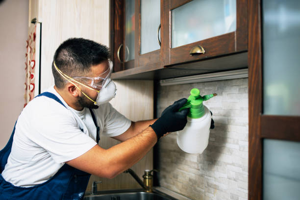 Best Emergency Pest Control  in Heber, UT