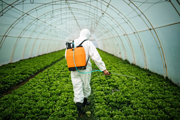 Best Pest Control for Restaurants  in Heber, UT