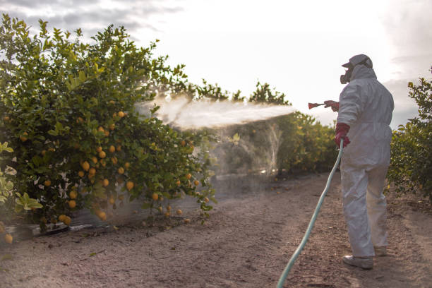 Best Flea Control Services  in Heber, UT