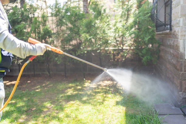 Best Best Pest Control Companies  in Heber, UT