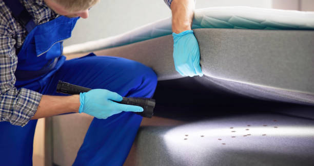 Best Cockroach Control Services  in Heber, UT